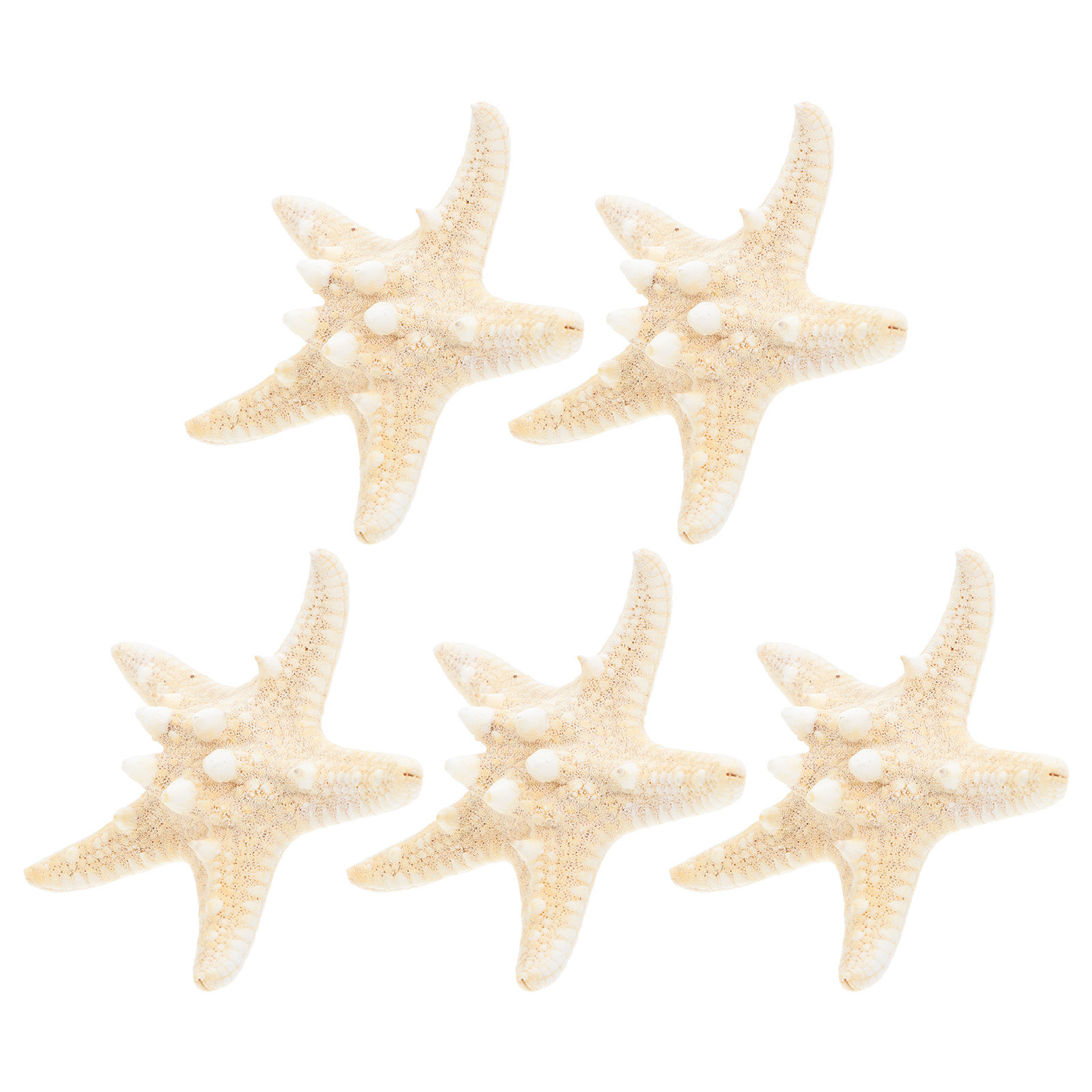 Art Craft Gallery - 5Pcs Sea Star Ornaments Ocean Theme