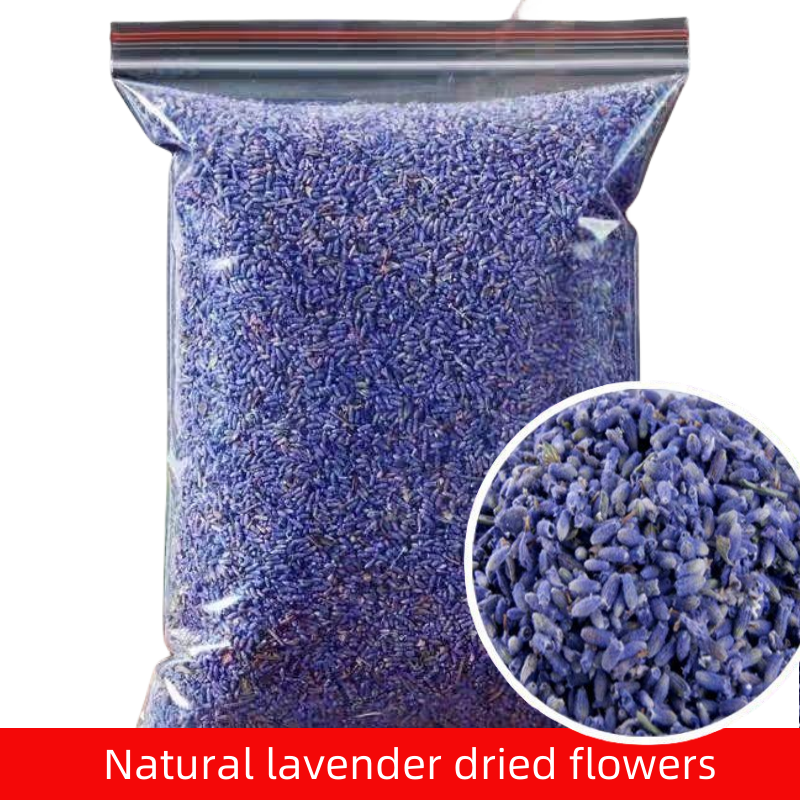 Art Craft For 3 Year Old - High Quality Natural Dried Flowers Indoor