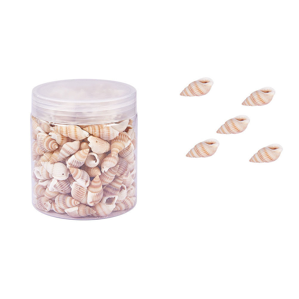 Mini Seashells Crafts Natural  – обзор и цена Art Craft Gallery