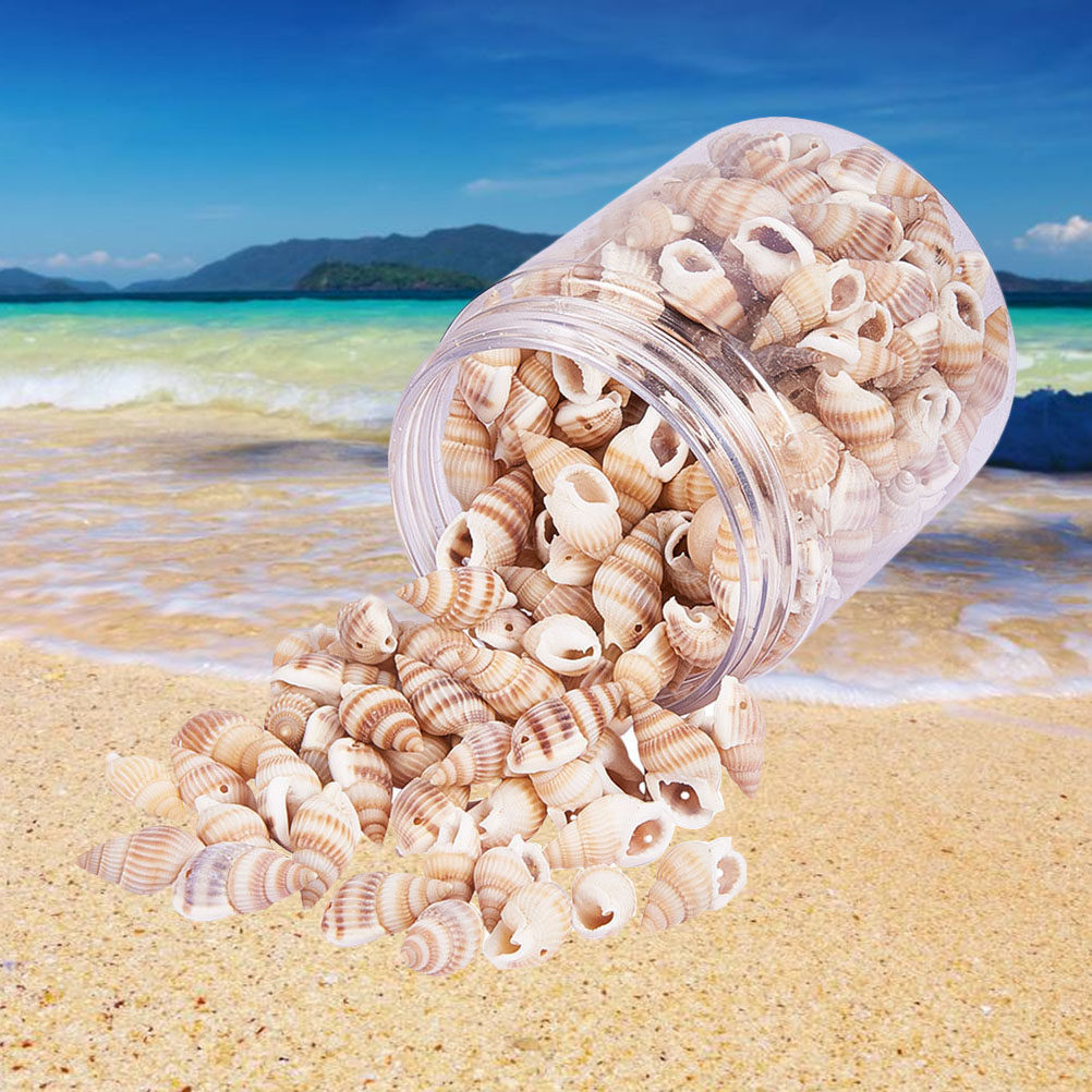 Mini Seashells Crafts Natural  – обзор и цена Art Craft Gallery