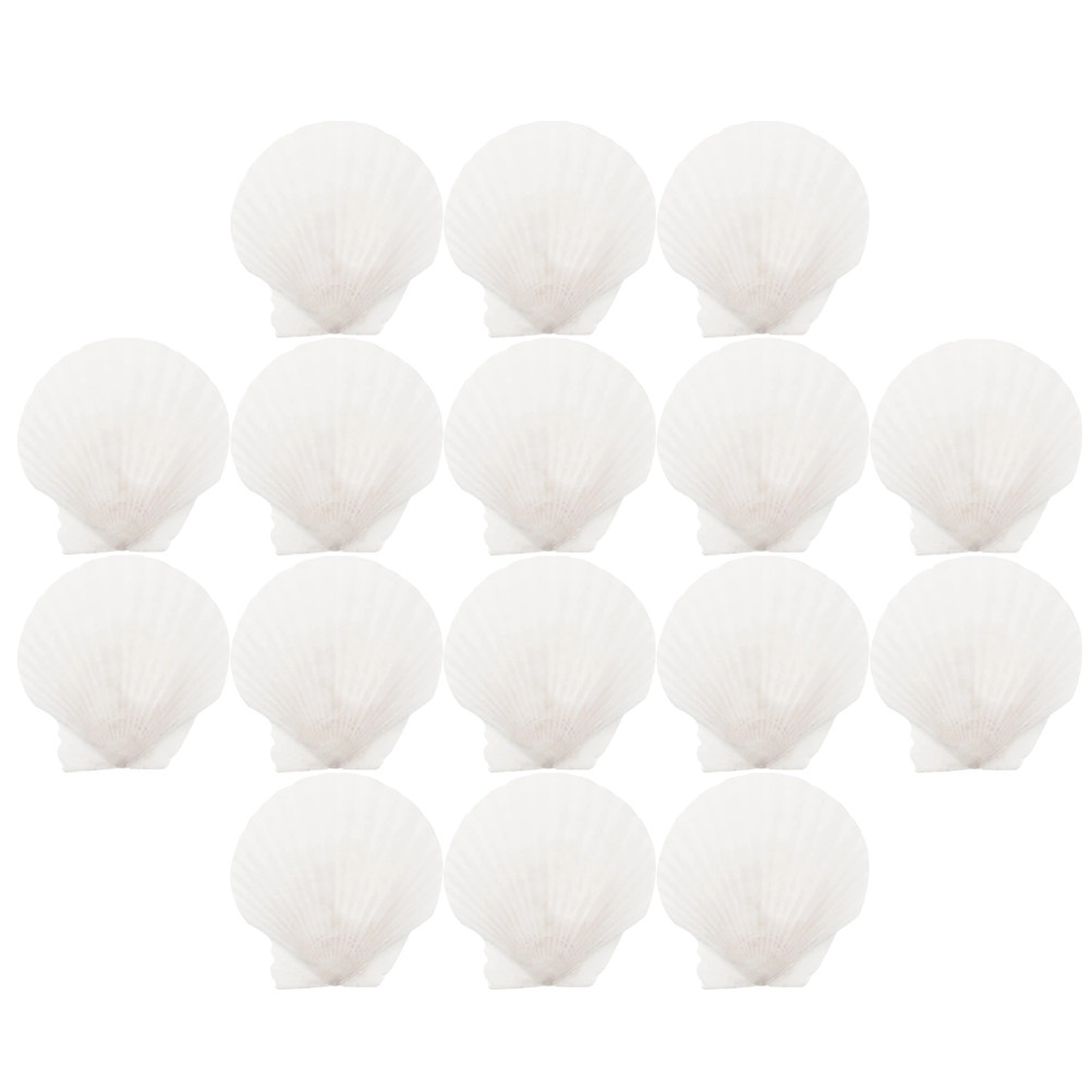 16Pcs Flat Natural Sea Shells  – обзор и цена Art Craft Gallery