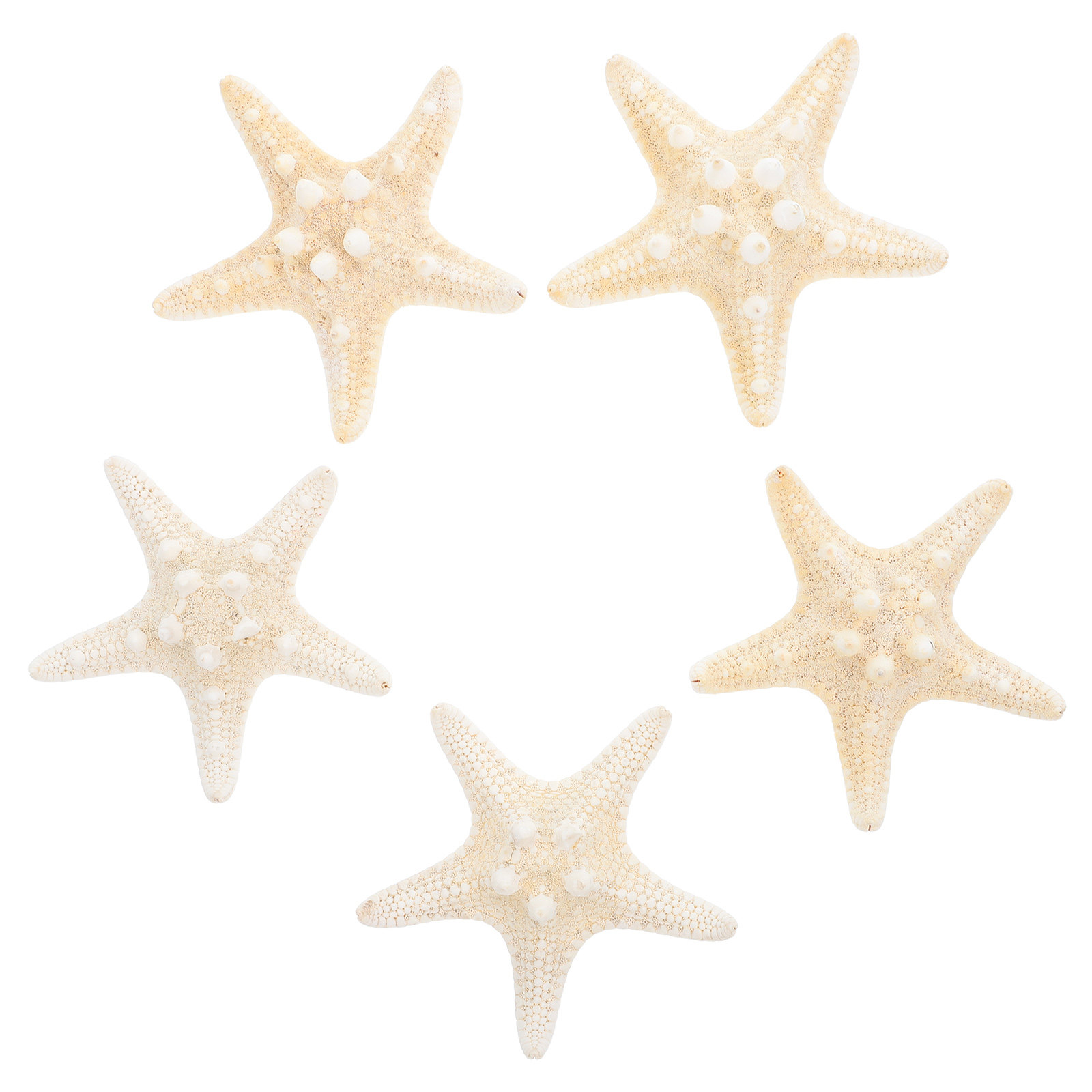 5Pcs Sea Star Ornaments Ocean  – обзор и цена Art Craft Gallery
