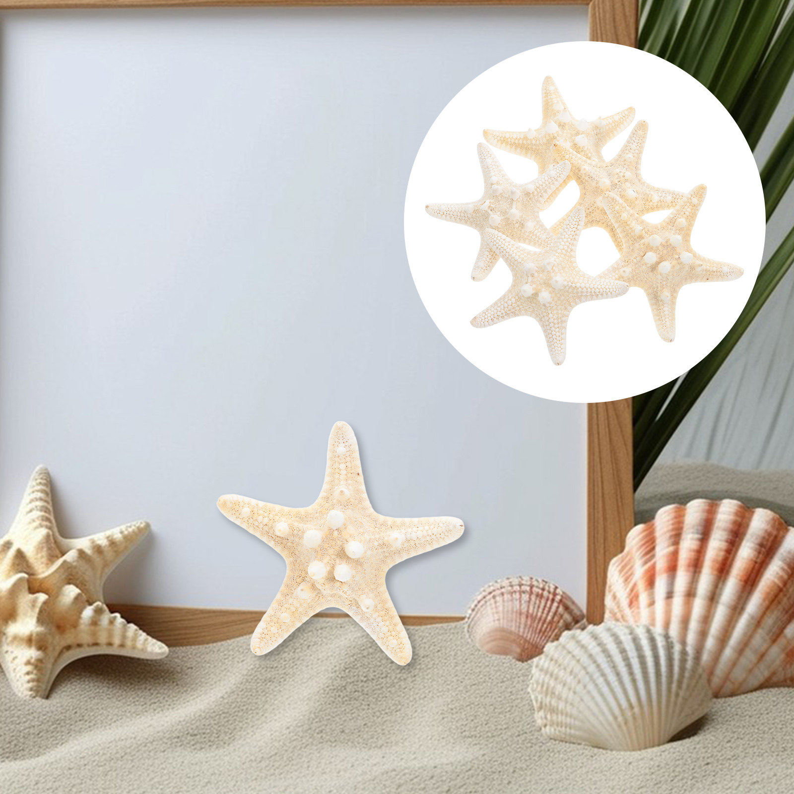 5Pcs Sea Star Ornaments Ocean  – обзор и цена Art Craft Gallery